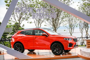 为字怎么组词wey