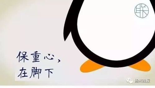 小度的企鹅怎么组词呀 小度的企鹅怎么组词呀