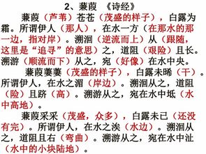 张飞的张字怎么组词