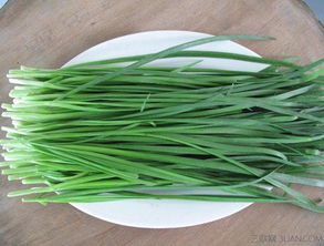 韭菜的九怎么组词