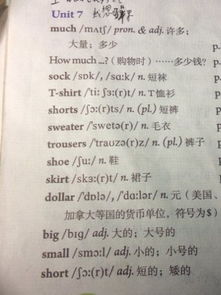 屁可以怎么组词组什么