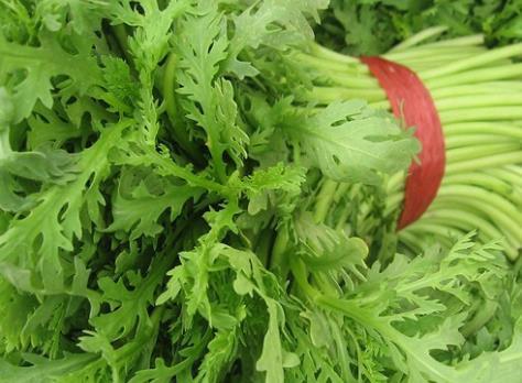 茼蒿好的茼怎么组词