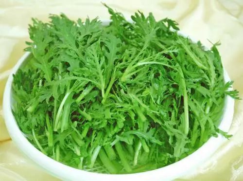 茼蒿好的茼怎么组词