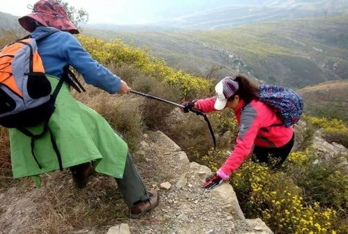 登山杖的杖怎么组词