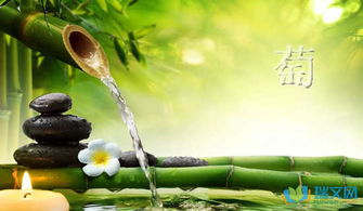 看葡萄怎么组词 看葡萄怎么组词