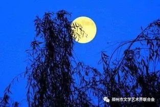 自言自语还能怎么组词呀