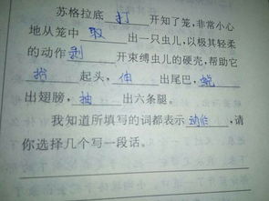 军训的怎么组词 军训的怎么组词