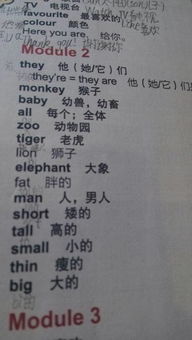 大象的怎么组词