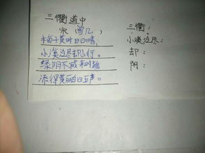 芦芽的庐怎么组词