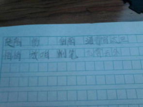 肖的谐音可以怎么组词呢