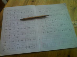 翅的怎么组词语