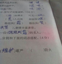维怎么组词