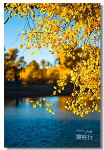 倒影怎么组词倒影的映 倒影怎么组词倒影的映