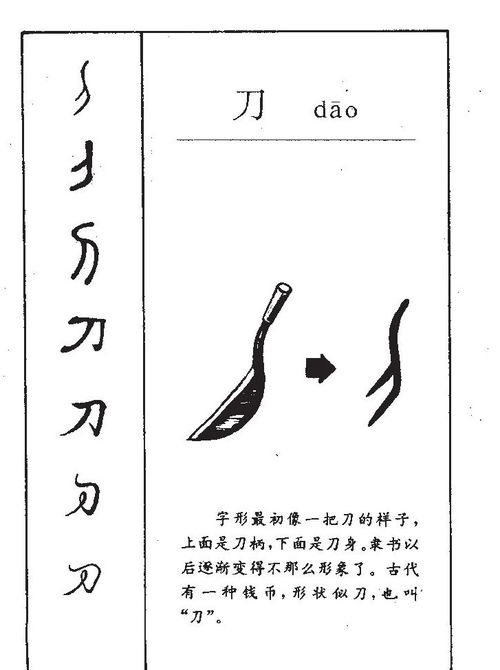 刀子的刀可以怎么组词