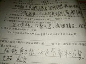 树字怎么组词词 树字怎么组词词