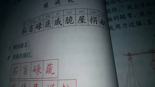 托怎么组词托