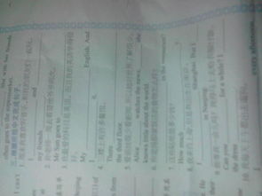 报组词组 报组词组