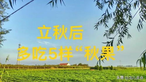 秋天的果实怎么组词呀