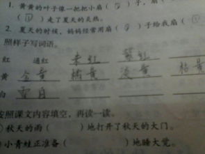 你们的呢怎么组词 你们的呢怎么组词