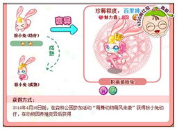 小兔仔的仔怎么组词