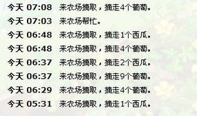 偷东西的东字怎么组词