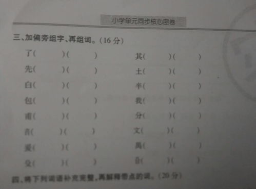 横加白组词怎么组