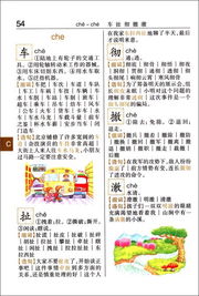 开组词