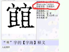 宜字怎么读怎么组词