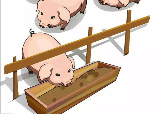 圈字多音字组词