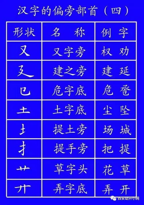 态组词与笔画怎么写