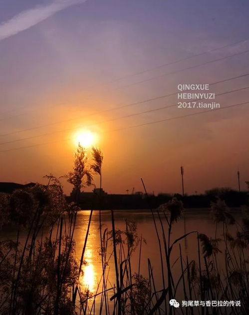 要是的诗还可以怎么组词