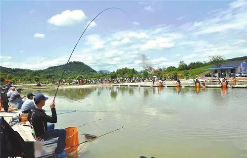 垂钓的钓怎么组词 垂钓的钓怎么组词