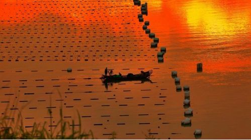 朝朝霞霞怎么怎么组词