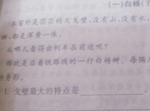 废字组词