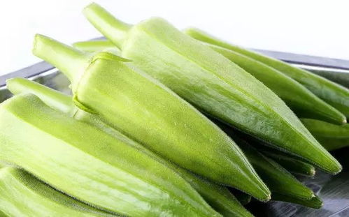 秋天的秋葵怎么组词