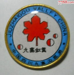 枚和勾怎么组词