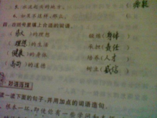 搔的意思及组词怎么写