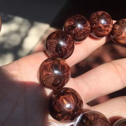 蜘蛛的珠子可以怎么组词 蜘蛛的珠子可以怎么组词