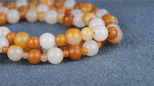 蜘蛛的珠子可以怎么组词 蜘蛛的珠子可以怎么组词