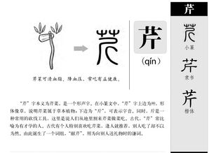 即和既怎么组词