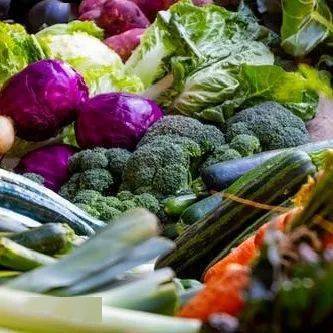 蔬菜可以怎么组词视频