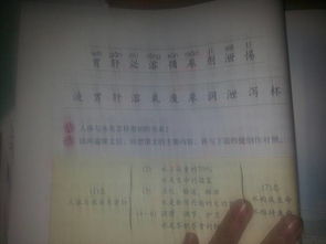 暖的问怎么组词 暖的问怎么组词