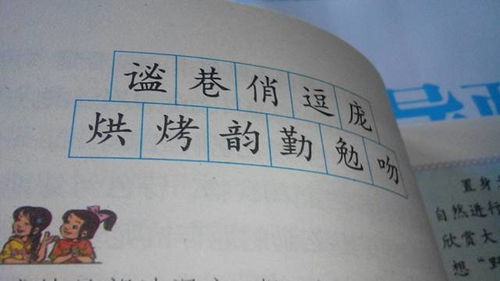 照片加拼音和组词怎么加