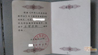 掏钱的掏怎么组词 掏钱的掏怎么组词