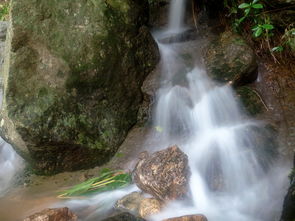 小溪流水怎么组词