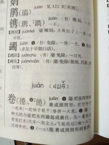 纯净的卷怎么组词 纯净的卷怎么组词