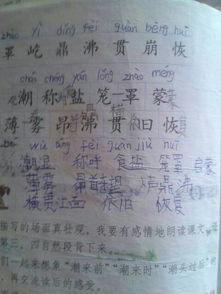 声音芳芳怎么组词