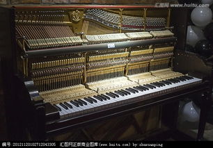 钢琴的钢杆怎么组词