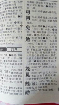 种三声怎么组词