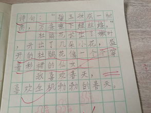 找出春的组词怎么写